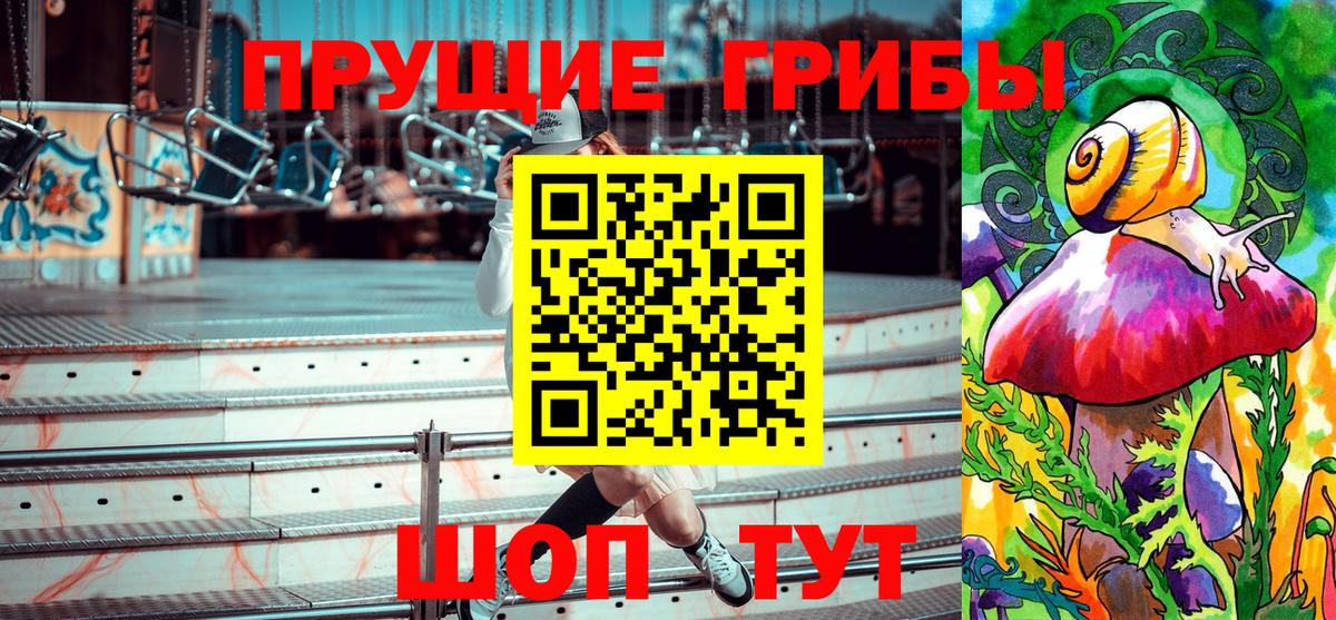 Артём  Галлюциногенные грибы MAGIC MUSHROOMS  Вход с VPN  Галлюциногенные грибы GOLDEN TEACHER 
