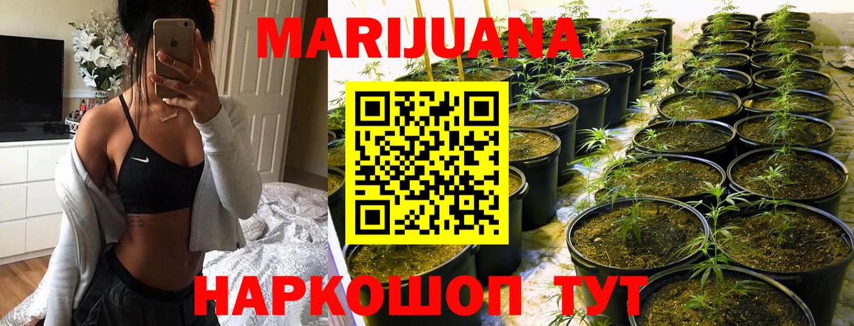 Канабис White Widow Артём
